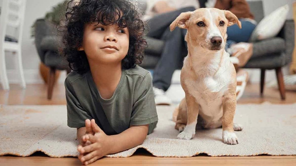 Beware of the diseases which can spread to children by pets