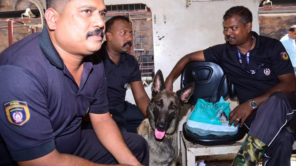 তেলেঙ্গানার টানেল ধস: ১৬তম দিনে একজনের দেহ উদ্ধার, সাতজন এখনও নিখোঁজ