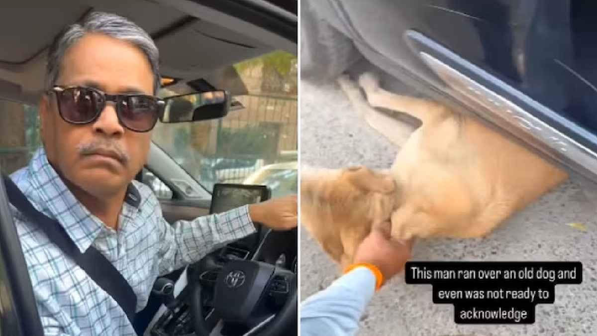 Delhi man runs over stray dog Video goes Viral