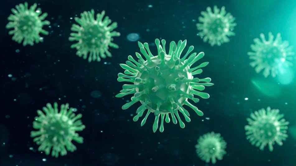 norovirus infections 400 Cases And Rising Deadly Vomiting Bug Hits UK gnr 
