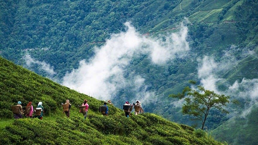  these tips will help to stay fit in hill station travelling during durga puja 2024 lif