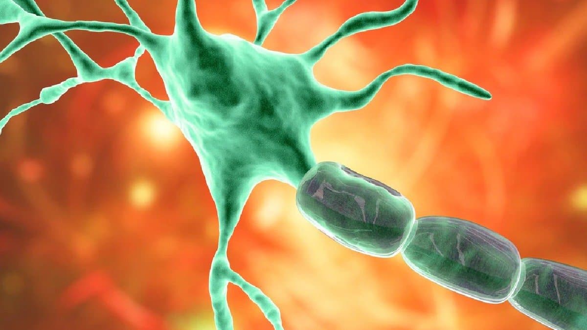 guillain barre syndrome children in kolkata affected by gbs gnr 