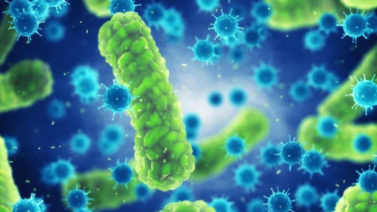 New Baba Vanga makes chiling prediction said Another deadly virus will kill millions of people