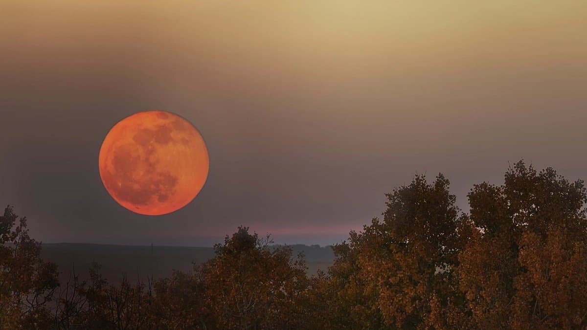 Moon is rusting Indias Chandrayaan-1 mission first identified the presence of Hematite