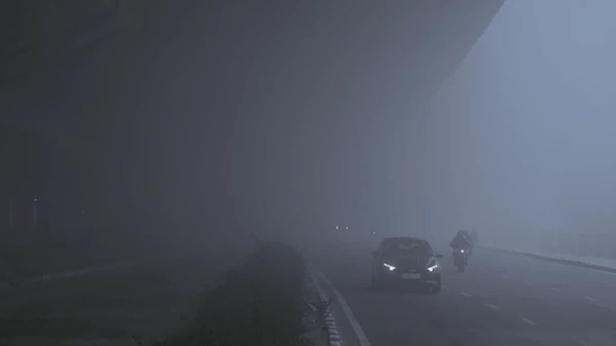 IMD weather update Cold Wave Grips North India gnr 