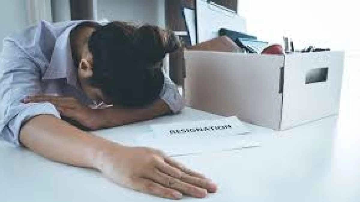 Sacking of a Senior Software Engineer cost his bosses own jobs 