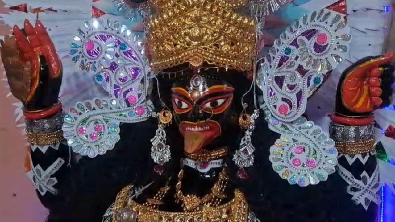 Kali Puja: বহু বিঘ্ন পেরিয়ে শুরু পুজোর, নাম 'হ্যাপা কালি'