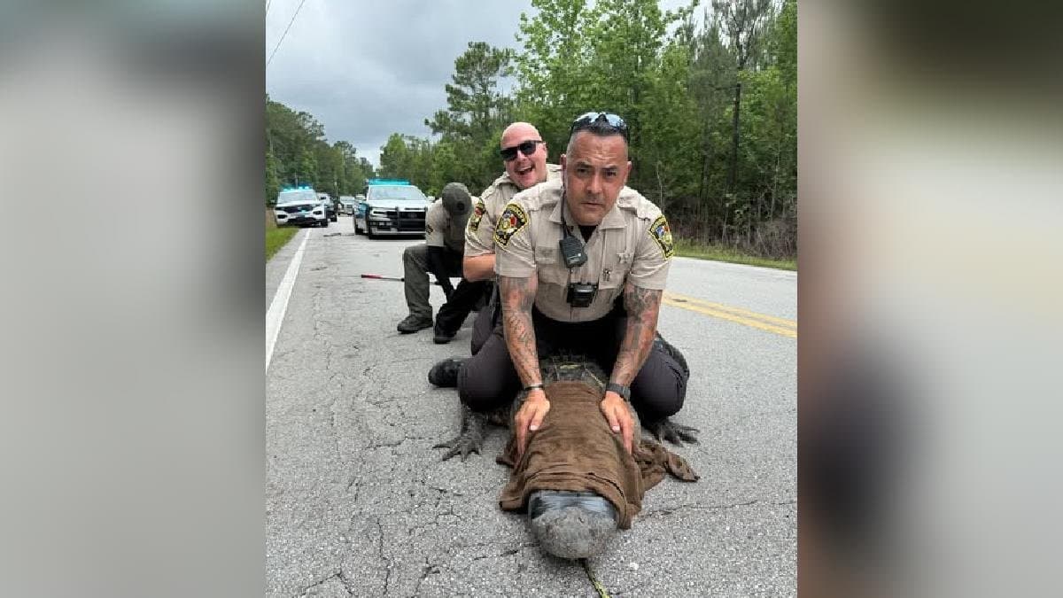 Pepe the Gator Police Detain 10 Foot Alligator For Being A Dinosaur Without Proper Papers