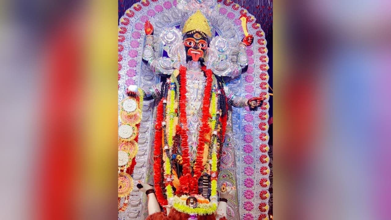 Kali Puja: 'পথের মা'কে বুক চিরে রক্ত দেন ভক্তরা