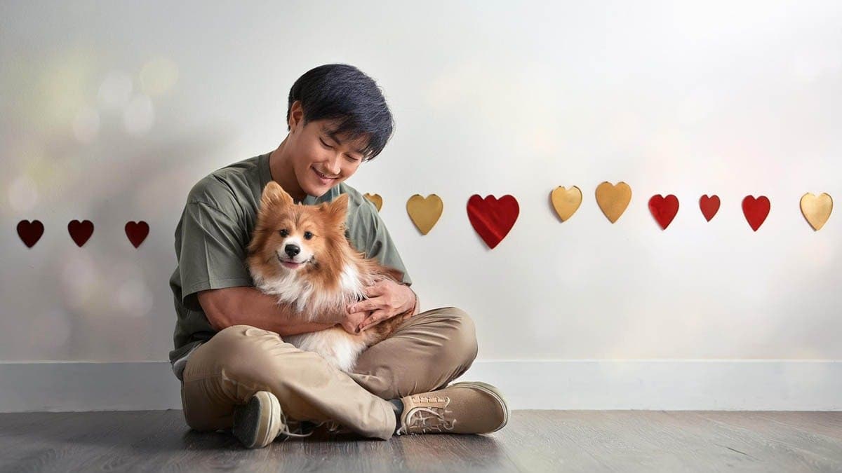 When Did Humans And Dogs Become Friends gnr 