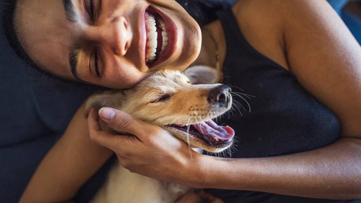 Animal assisted therapy is becoming the new way of curing Mental Health Issue and Depression