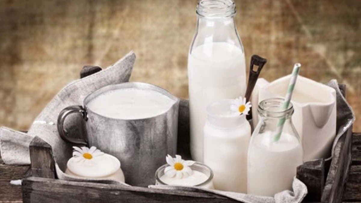 Cockroach milk is three times more nutritious than cows milk