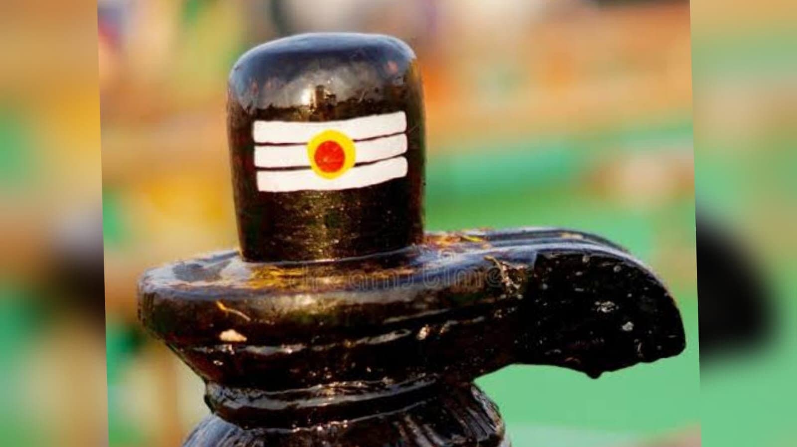 Human Sacrifice Suspected As Man Kills Grandmother, Then Attempts Suicide in Chattisgarh_gnr