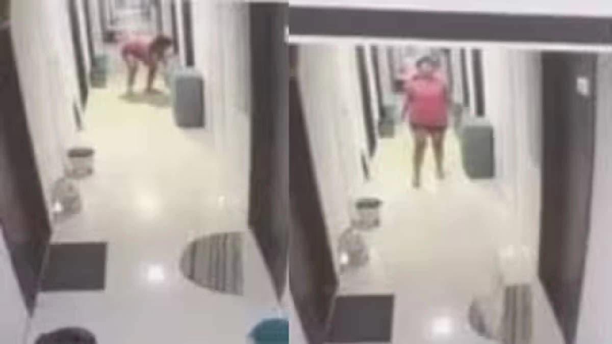 Pune Woman Smashes Cat On Floor Like A Piece Of Cloth