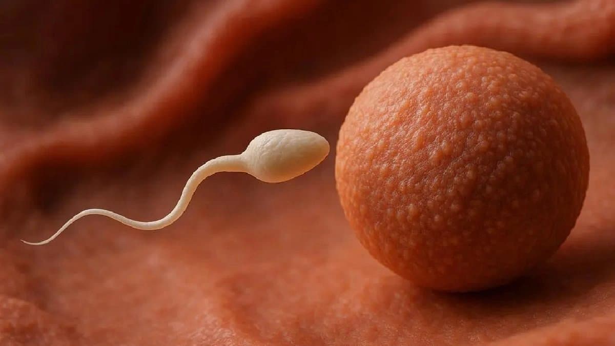 Japanese man offers seed Donation including physical Intimacy for women to get pregnant