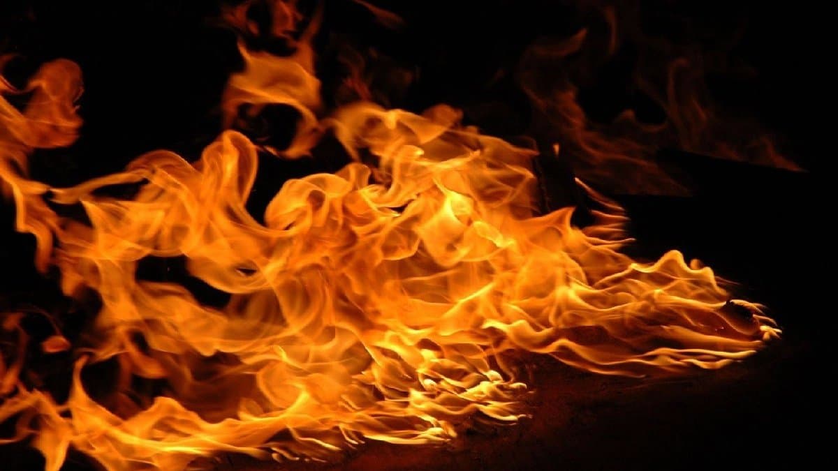 Odisha Incident Update Womans Warning 10 Days Before Self-Immolation