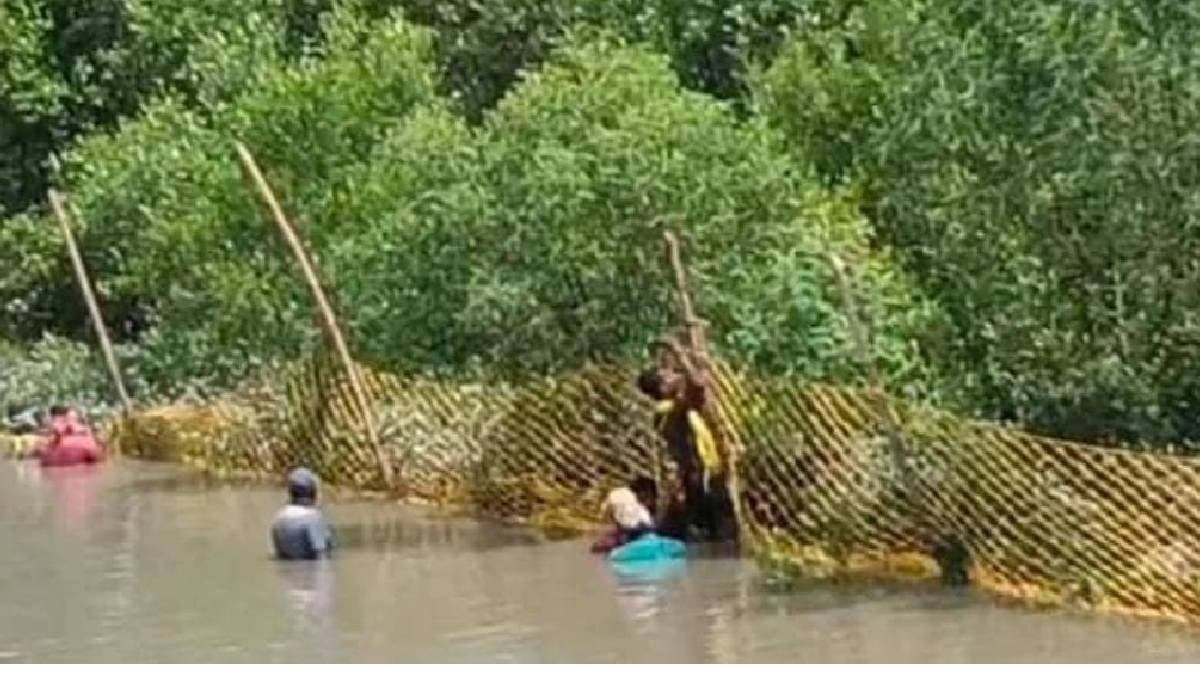 Set of guidelines issued for visiting sundarbans tiger project 