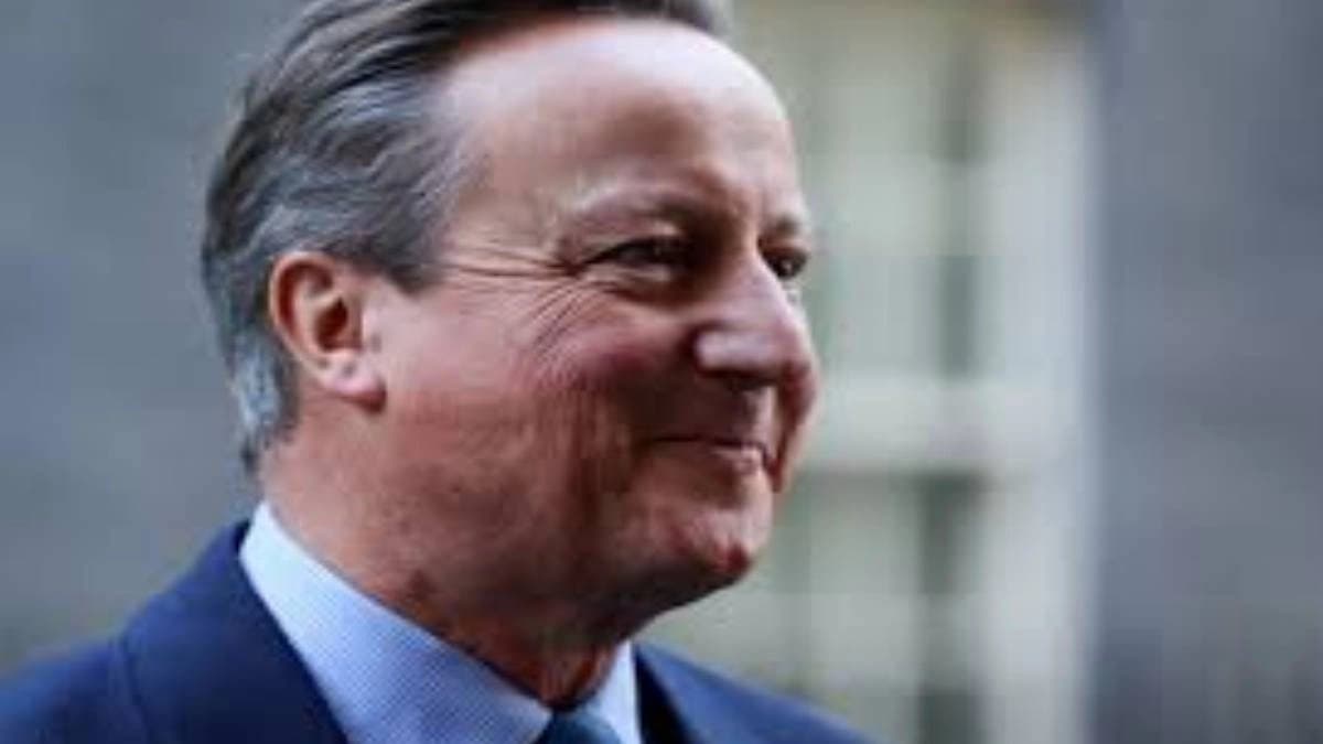 Allegations of bestiality against David cameron