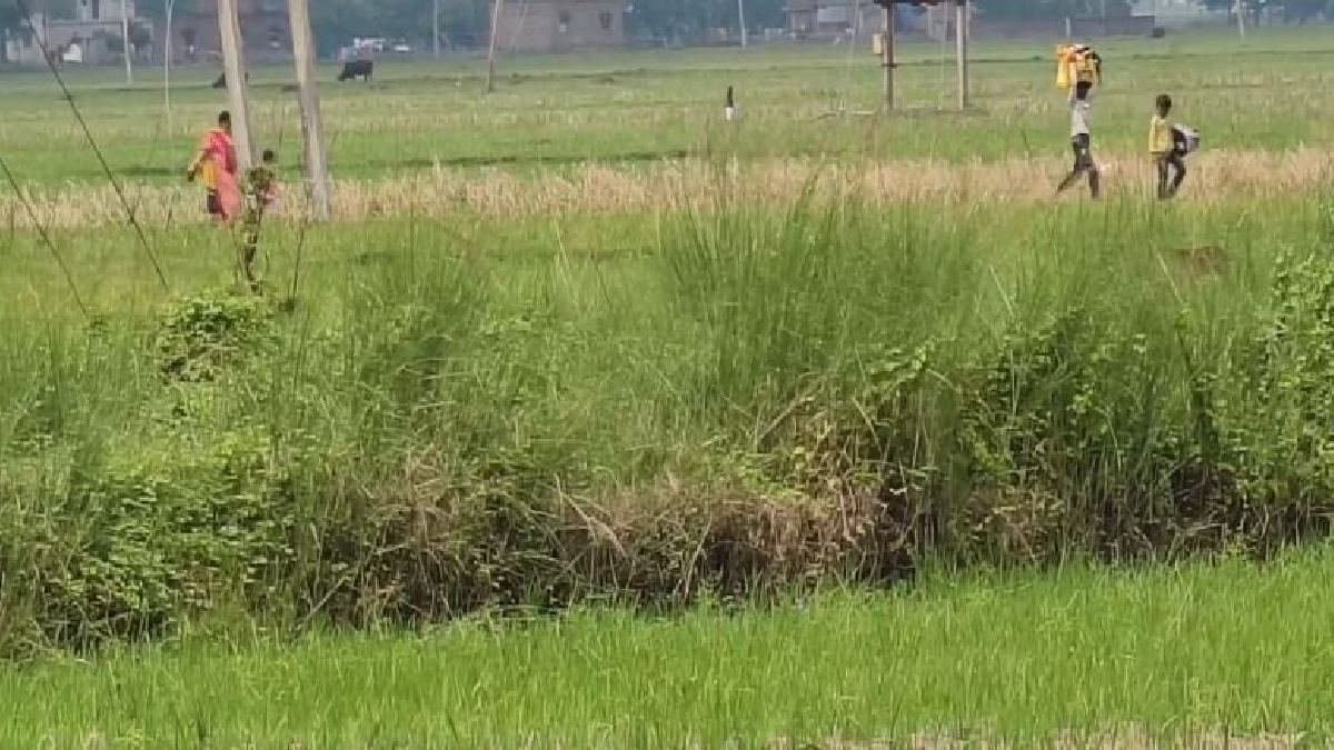 Hooliganism in Birbhum claims three lives