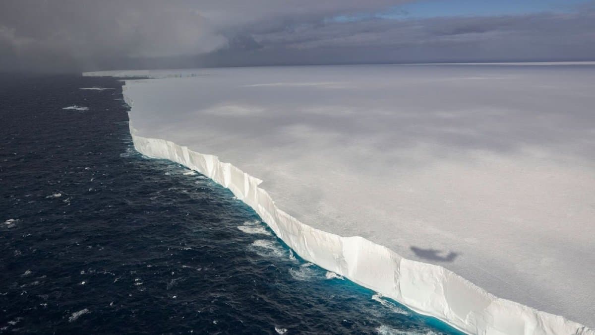 World s largest iceberg on its way to collide with remote British island gnr