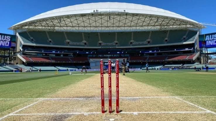 Pitch will provide even contest between bat and ball, says curator spt 