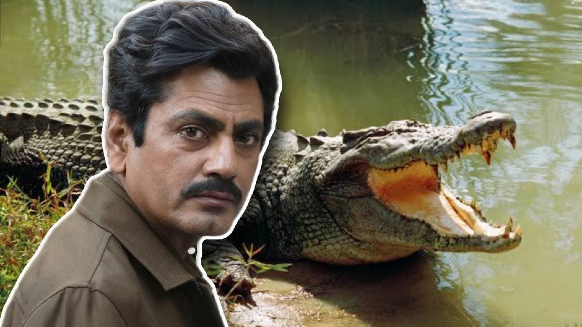 Director Sejal Shah reveals Nawazuddin Siddiqui swam in crocodile full lake for Costao