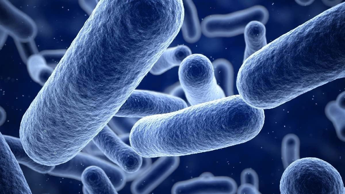 Disease-Causing Bacteria Sent To International Space Station  to study how microgravity affects bacterial growth