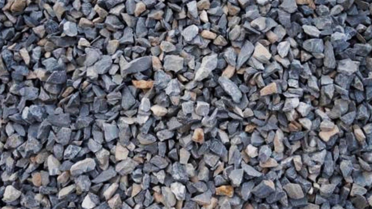 Girl  miraculously survived in Murshidabad 