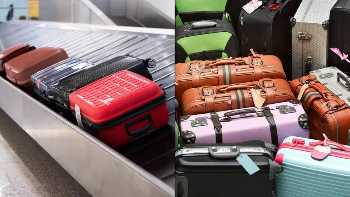 This colorful suitcase can ruin your travel plans be alert gnr 