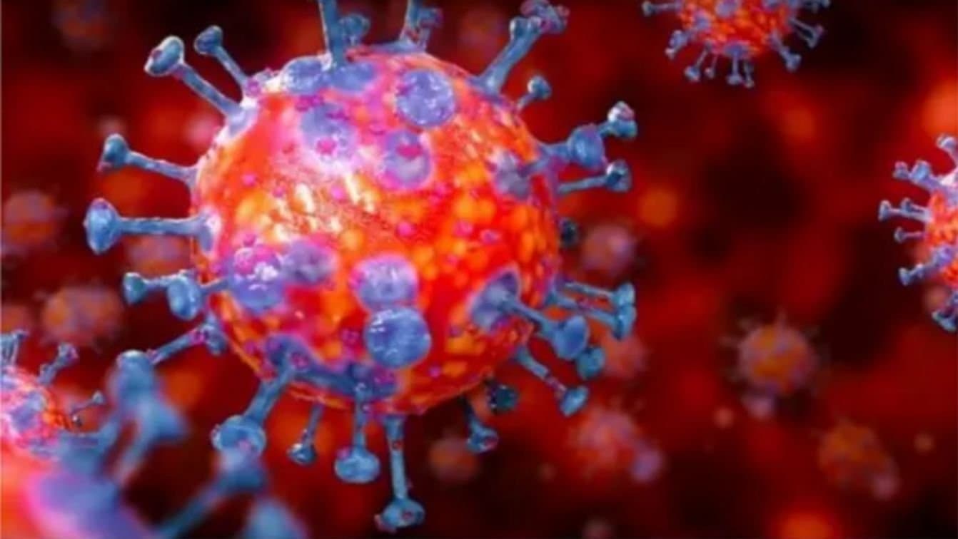 New Covid variant Nimbus know how it dangerous and what are the symptoms