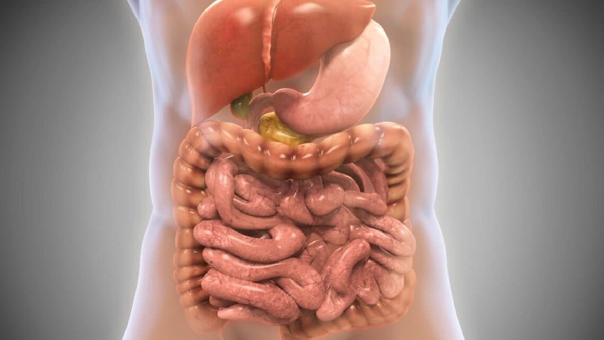 Okra water and turmeric can be constipation Remedy and Diabetes home Remedy