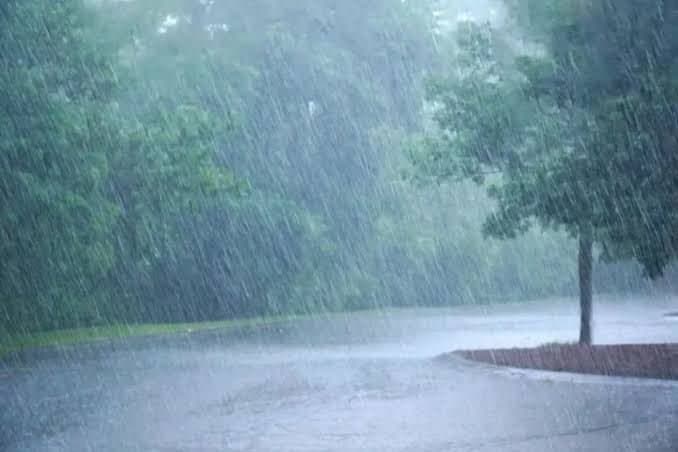 Weather Update: ভ্যাপসা গরম থেকে মুক্তি, কলকাতা সহ দক্ষিণবঙ্গে ঝেঁপে বৃষ্টির পূর্বাভাস 