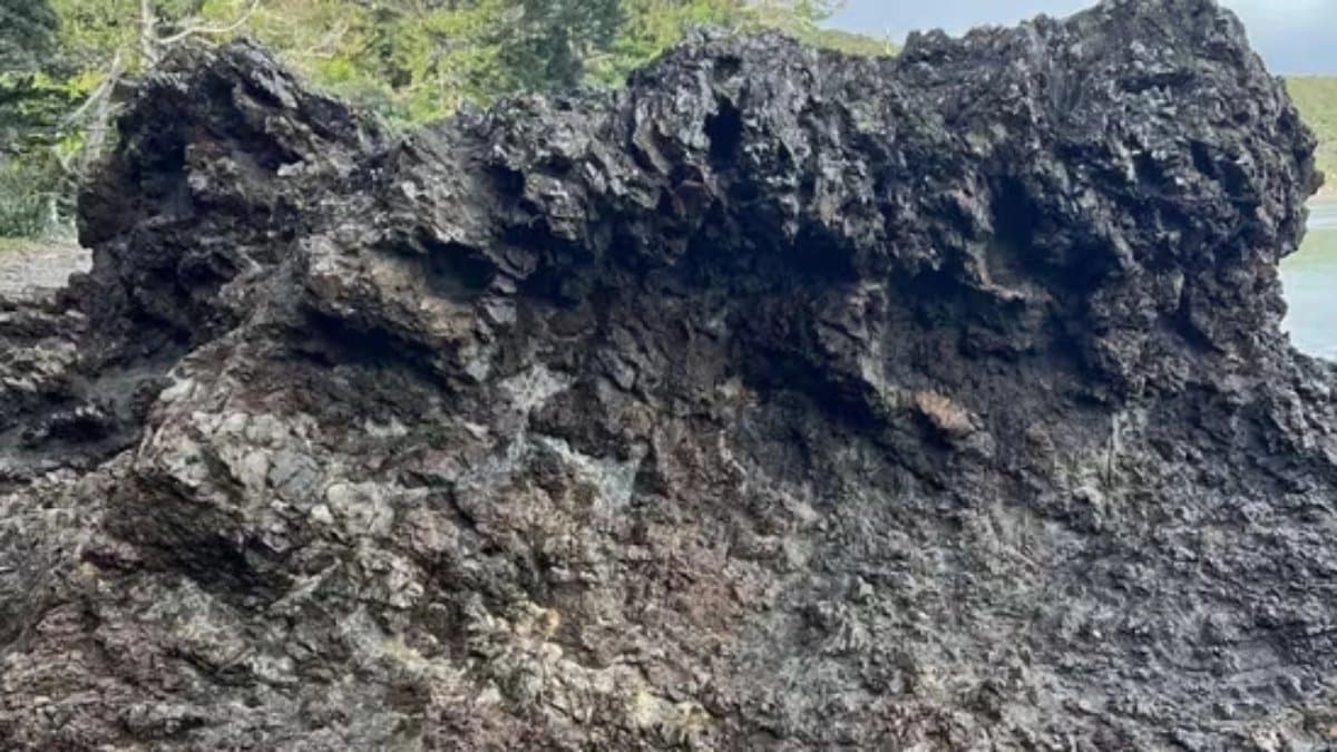 Optical Illusion: can you find the girl hidden in the image you have only 10 seconds