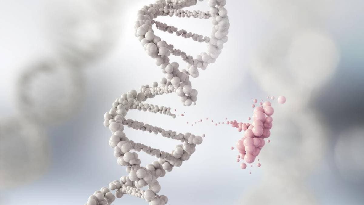  380 dna variants that could predict and fuel cancer growth gnr 