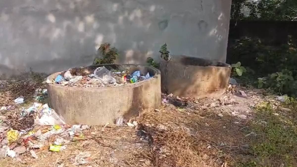 Miscreants set fire on six puppies