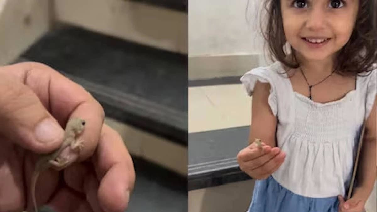Dad Helps His 2-Yr-Old Hold Baby Lizard