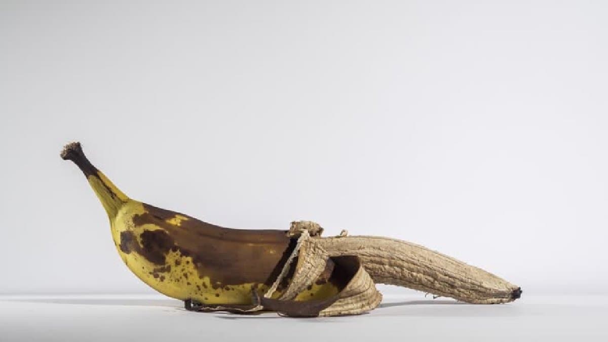 how does age define the health of sperms lif