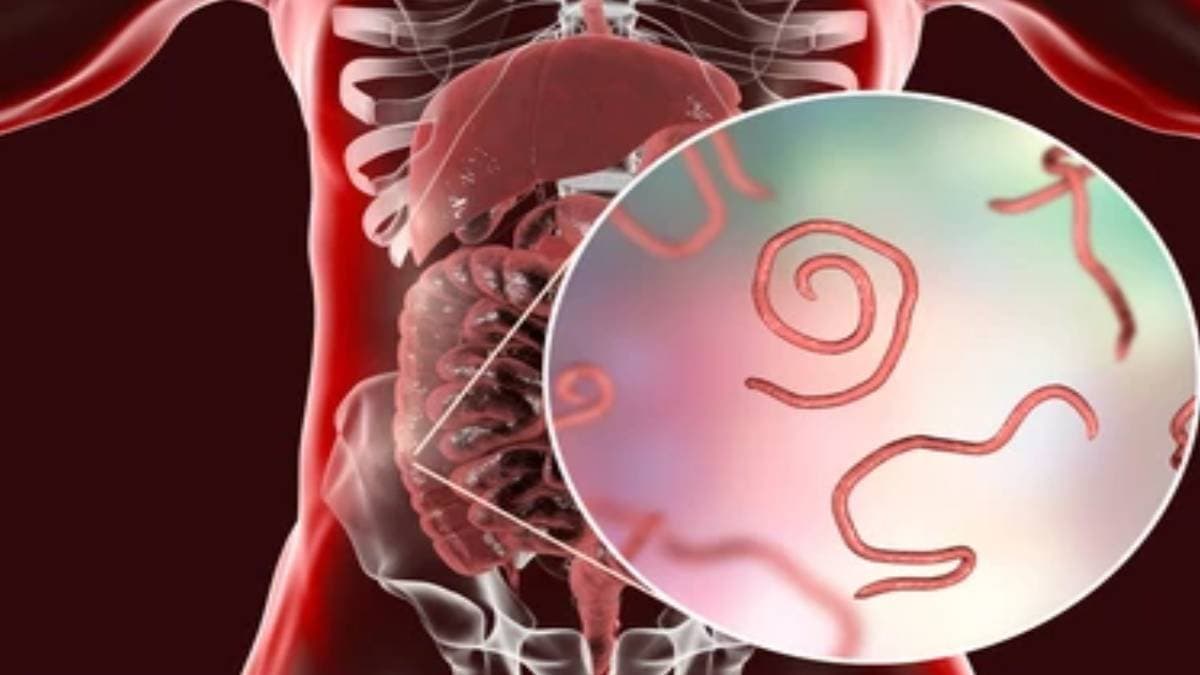 Regularly eating these food worms will die inside your stomach