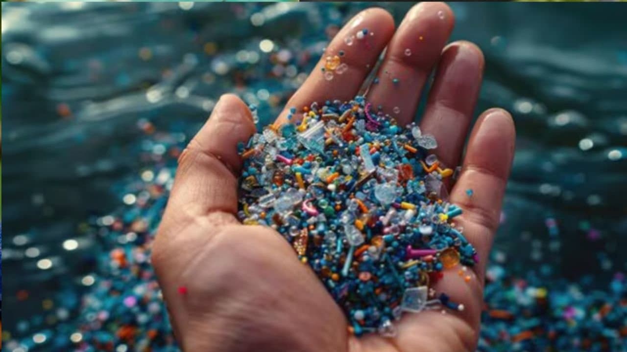 Are Microplastics The New Hidden Threat To Bone Strength Know What Experts say