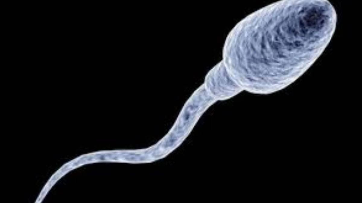 Bill proposal by Texus legislator states that there should be a penalty for  erection