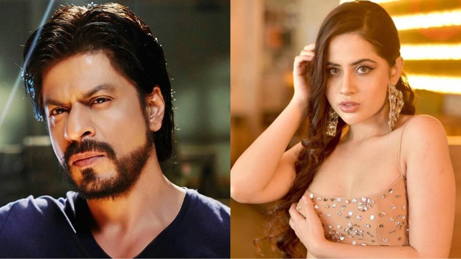 social media influencer uorfi javed want to steal this thing to shah rukh khan ent