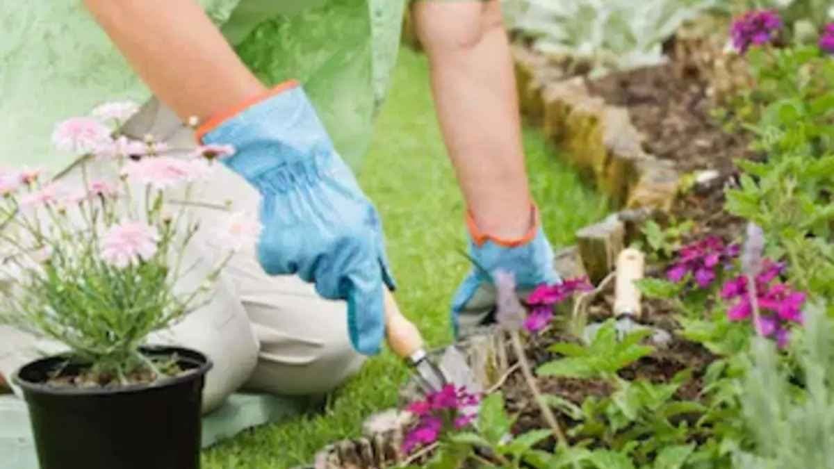 US Woman Turns Love For Plants Into Business, Earns Rs 1 Crore Per Year gnr 