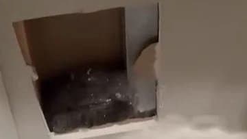 what Happened When This Woman Heard Strange Noises Behind Her Wall gnr 