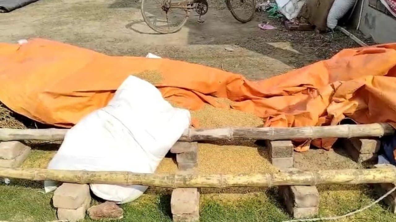 মান্ডিতে নিয়ে যাওয়ার আগেই চুরি হয়ে গেল ধান, মাথায় হাত কৃষকের