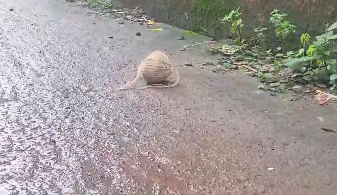 Bhangar: ‌ভোটের আগের রাত থেকেই উত্তপ্ত ভাঙড়, নির্বাচনের দিনও পাল্টাল না ছবি 