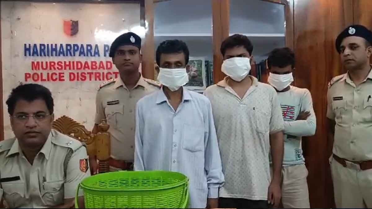 Rare Gecko Rescued in Murshidabad Before Smuggling gnr 