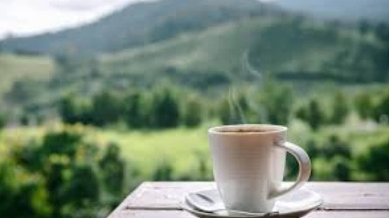 Avoid milk tea in the morning