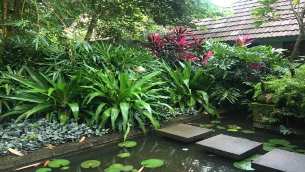 Avoid these trees to keep your home from snakes