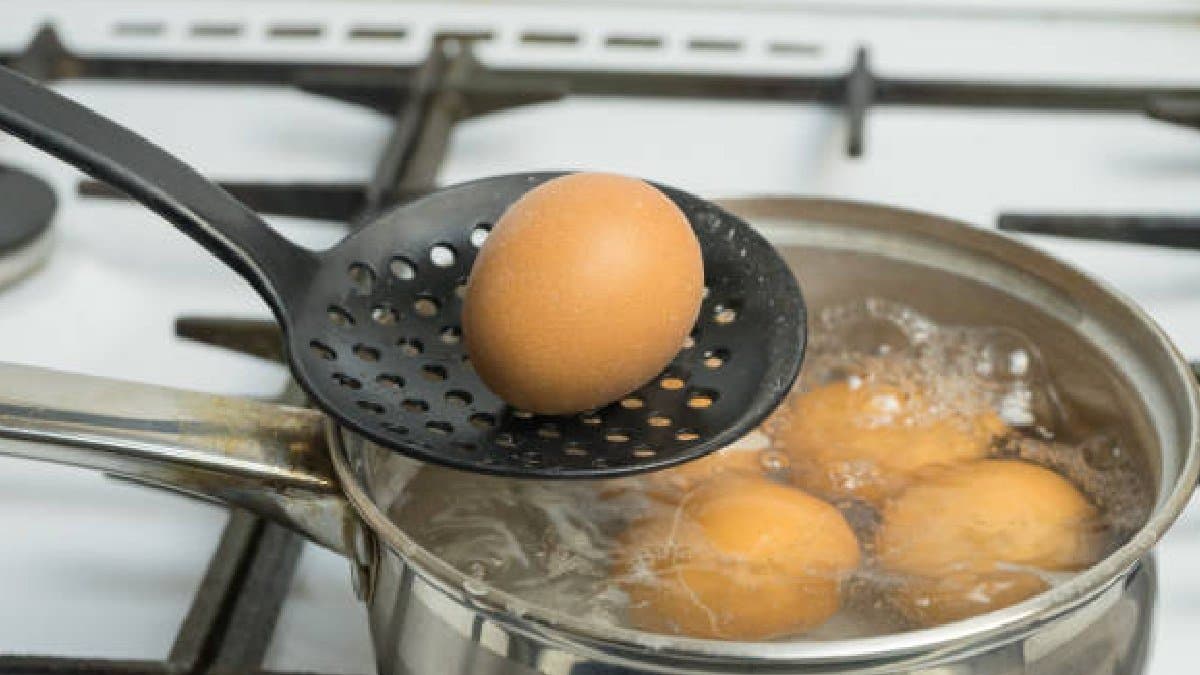 Water After Boiling Eggs  Never Throw Away know the reason now gnr 