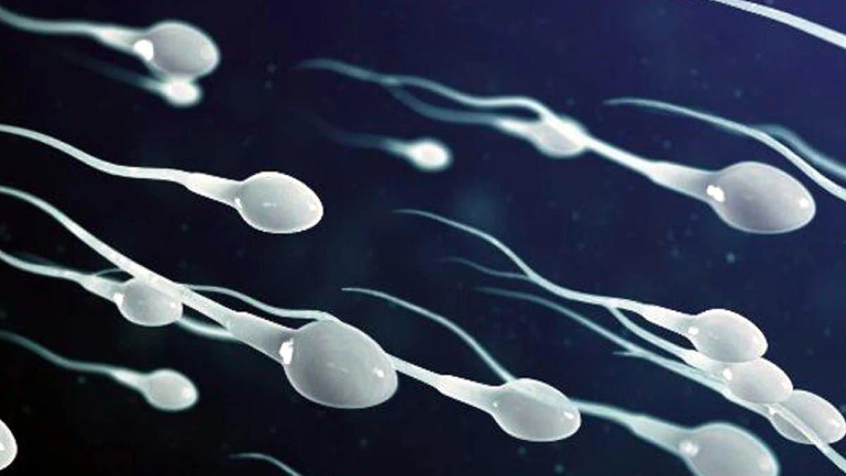 New study found microplastic in every single human semen sample